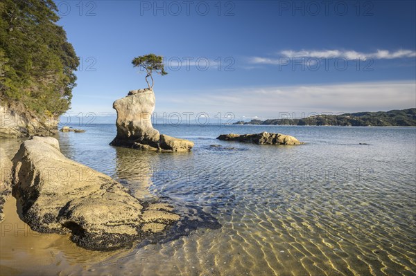 Tinline Bay, Abel Tasman Coastal Track