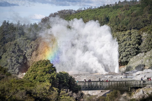 Tourists on bridge, view of erupting Pohutu Geyser with rainbow