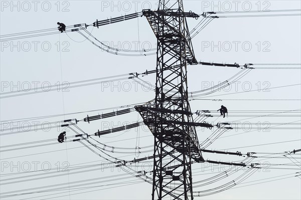 High voltage engineers working on high voltage pylons, Baden-Wuerttemberg