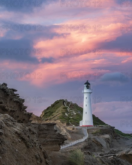 Lighthouse in the evening light under a pink cloudy sky on the cliffs at Castlepoint, Lavafels