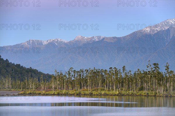 Lagoon of the Quinlin Creek at Gillespies Beach, evening sky