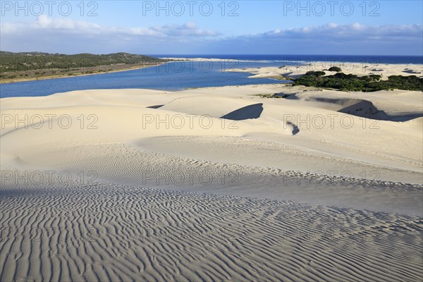 Sand dunes on the Sundays River, Alexandria Dune Fields
