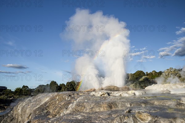 Erupting Pohutu Geyser with rainbow, sinter terraces