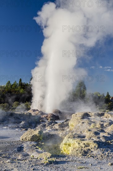 Erupting Pohutu Geyser, Sinter Terraces