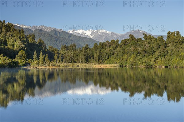 Subtropical forest and mountain peaks under a blue sky reflected in the lake, Southern Alps