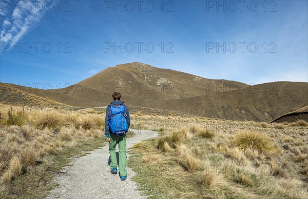 Hiker on hiking trail in barren mountain landscape, Lindis Pass