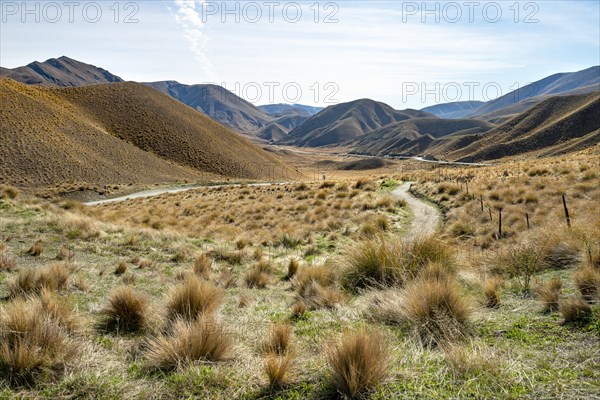 Barren mountain landscape with tufts of grass, Lindis Pass