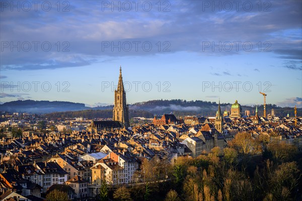 City view in the morning light, view from the rose garden to the old town