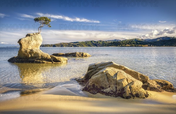 Blue sea with yellow rock shapes, and single tree