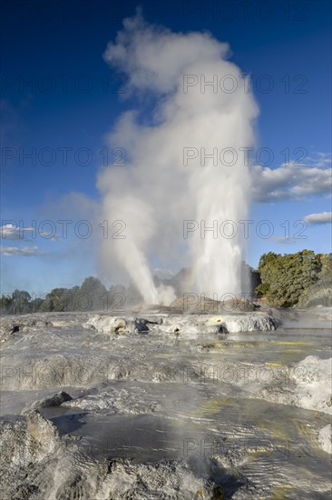 Erupting Pohutu Geyser, Sinter Terraces