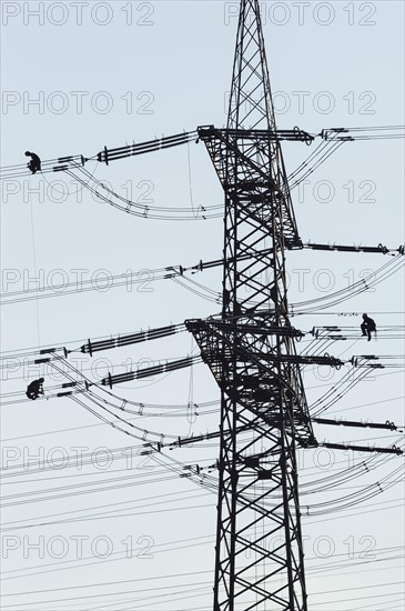 High voltage engineers working on high voltage pylons, Baden-Wuerttemberg