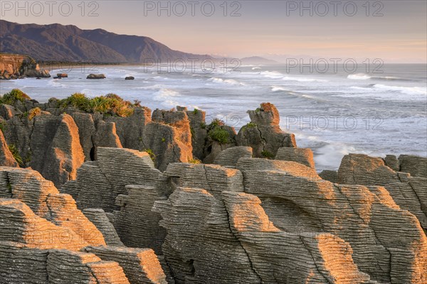 Pancake Rocks in the evening light, Paparoa National Park