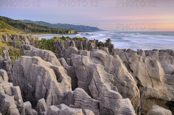 Pancake Rocks in the evening light, Paparoa National Park