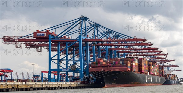 Container vessels at Burchardkai for unloading, harbour cranes