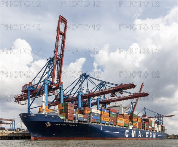 Port cranes in the Port of Hamburg unload container ships, Burchardkai