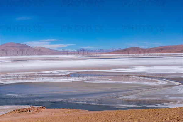 Salt Lake, Puna Region