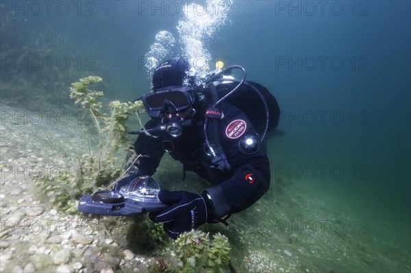 Divers in dry suits orientate themselves with compass in waters with poor visibility, Echinger Weiher