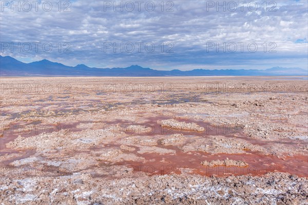 Laguna de Chaxa