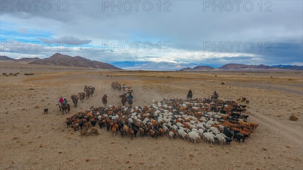 Mongolian nomads roaming the steppe with a flock of sheep