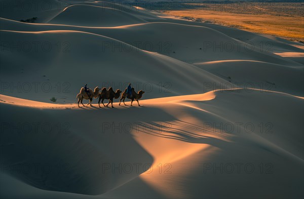 Nomads riding Bactrian camels