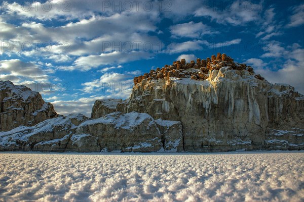 Mineral deposits on rocks