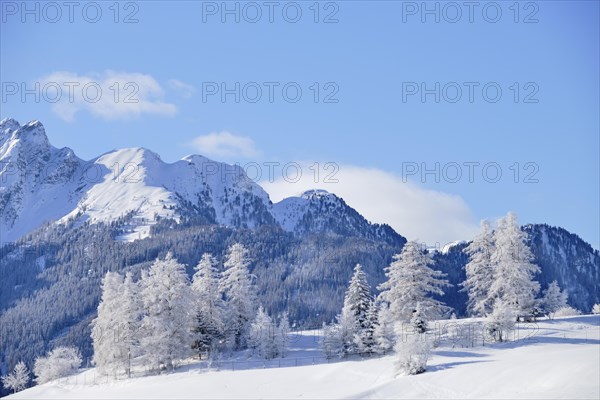 Winter landscape