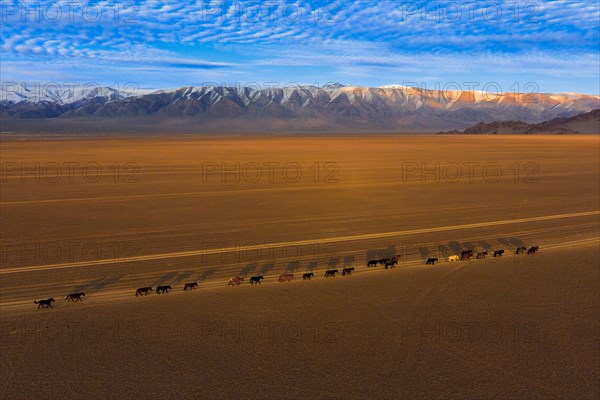 Sutai Mountains