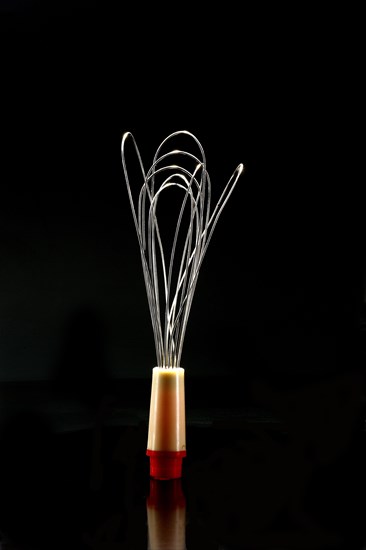 Whisk