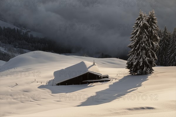 Snow-covered hut in the morning sun