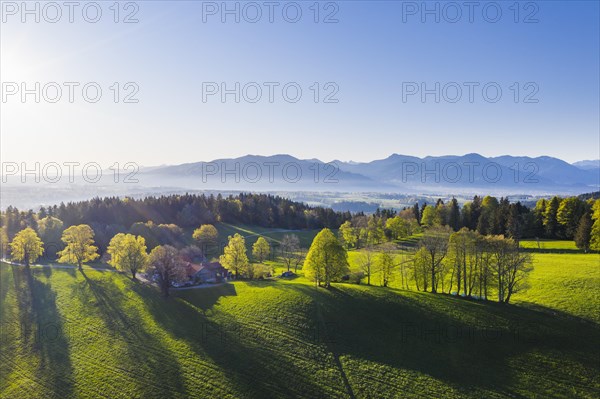 Buchberg near Wackersberg in the morning light