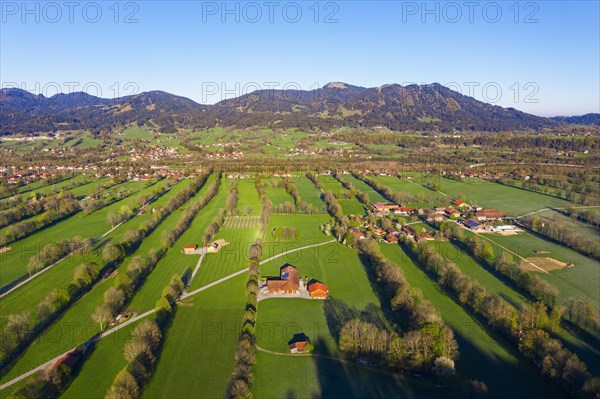 Hedge landscape in the Isar valley near Gaissach