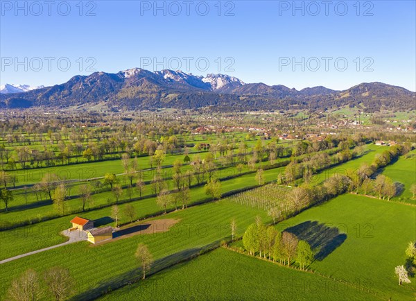 Hedge landscape in the Isar valley near Gaissach