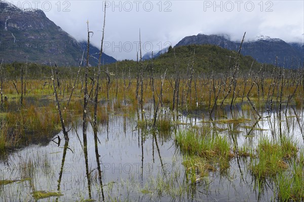 Flooded prairie along the Pan-American Highway