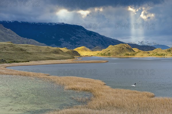 Laguna with marsh grass