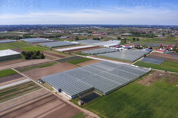 Greenhouses with rainwater collection basins and fields in the vegetable growing area