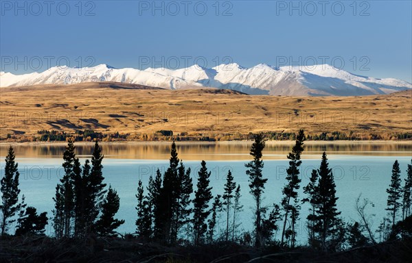 Lake Pukaki in front of snowy mountain range