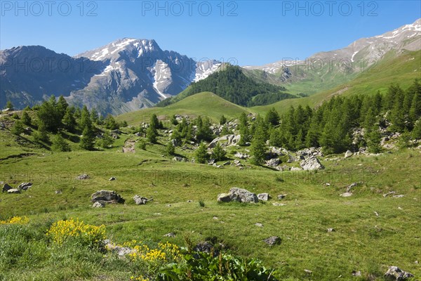 Alpine landscape at Col de Vars