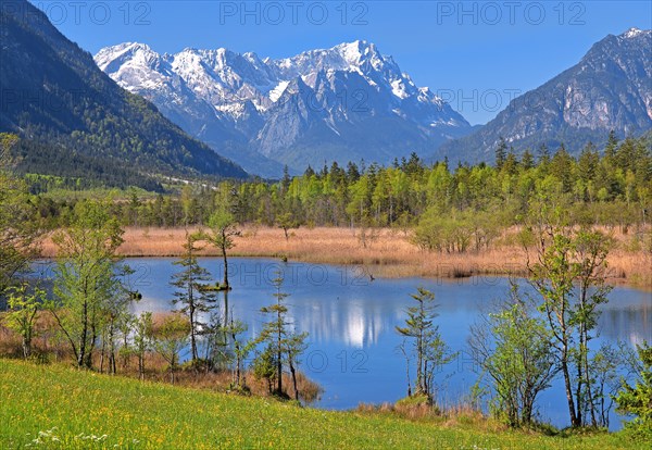 Moor landscape near the Seven Springs towards the Zugspitze massif in the Wetterstein range