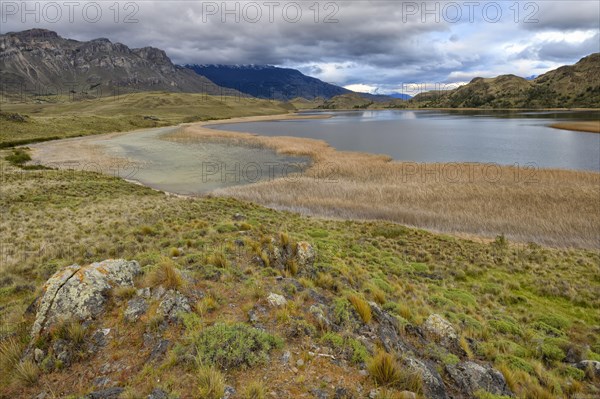 Laguna with marsh grass