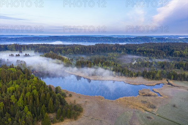 Mooshamer pond in the Spatenbraeufilz