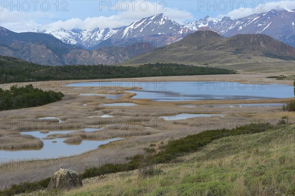 Laguna with marsh grass