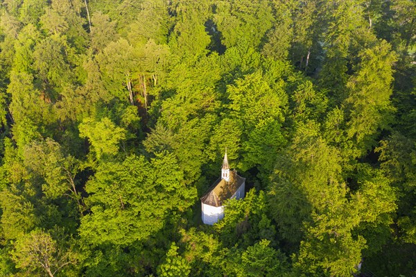 Trinity Chapel in the Mountain Forest