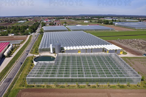 Greenhouses with rainwater collection basins and fields in the vegetable growing area