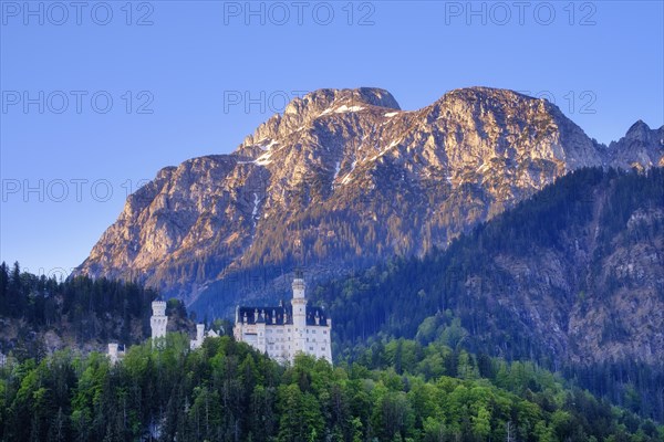 Neuschwanstein Castle