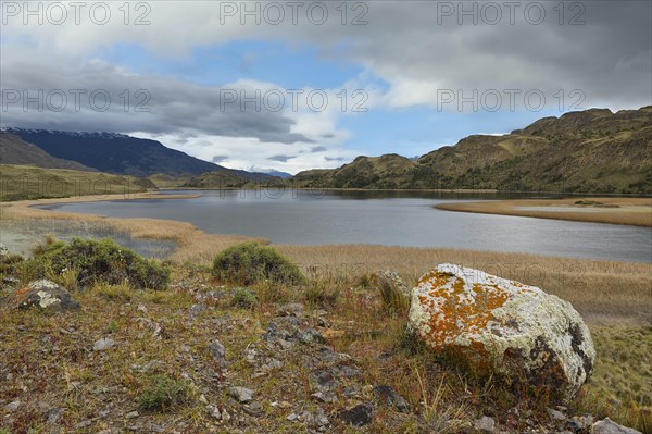 Laguna with marsh grass