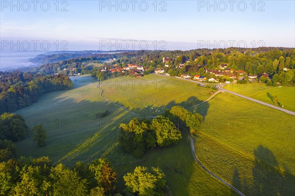 Meadow landscape in the morning light