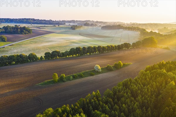 Cultural landscape in the morning light