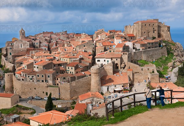 View of village with castle