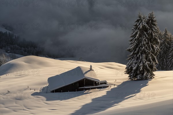 Snow-covered hut in the morning sun