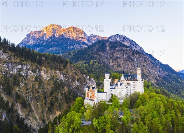 Neuschwanstein Castle